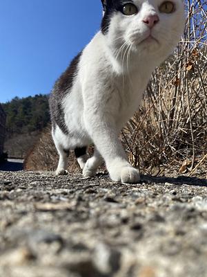 현장