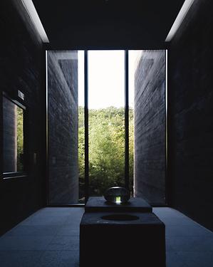 사진 입선